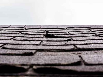 Shingle Roof Replacement
